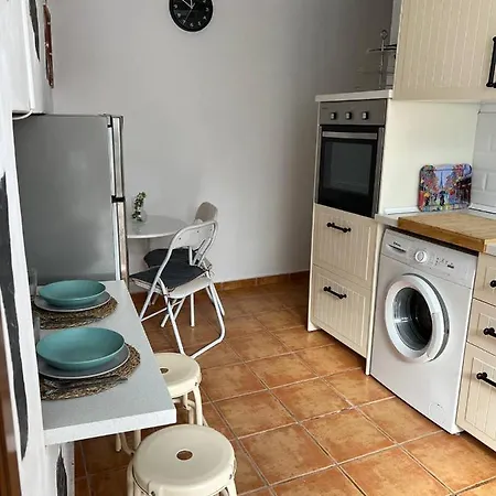 Hibiscus Bajamar (La Laguna)