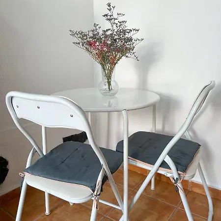 Hibiscus Bajamar (La Laguna)