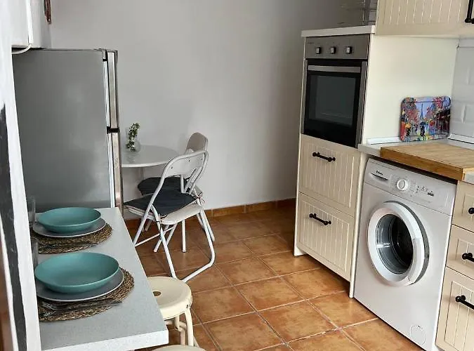 Hibiscus Bajamar (La Laguna)