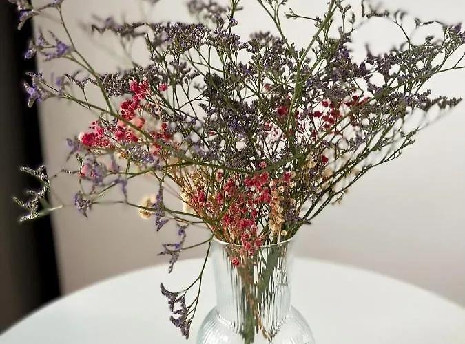 Hibiscus Apartment *