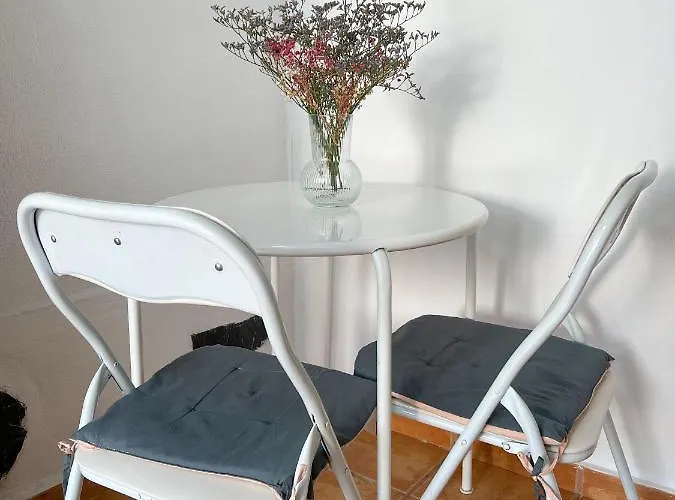 Hibiscus Bajamar (La Laguna)