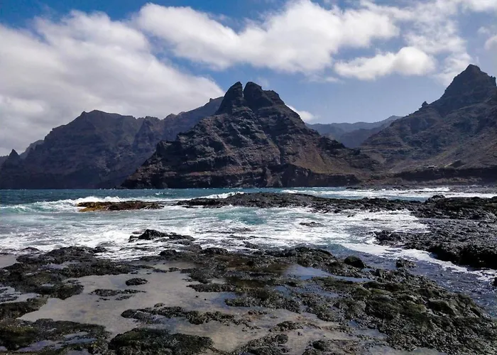 Hibiscus Bajamar (La Laguna)