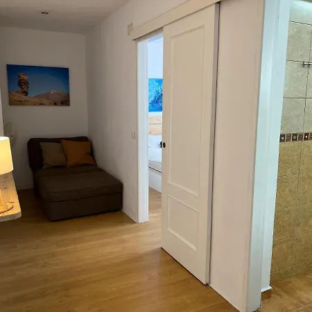 Hibiscus 바하마르