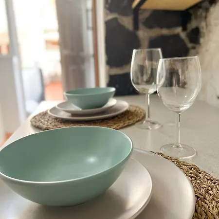 Hibiscus * 바하마르