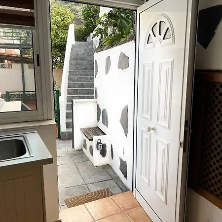 Hibiscus 바하마르