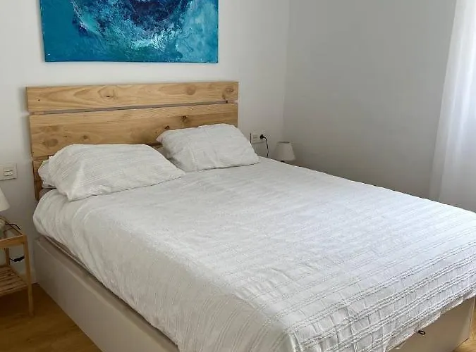 Hibiscus Bajamar (La Laguna)