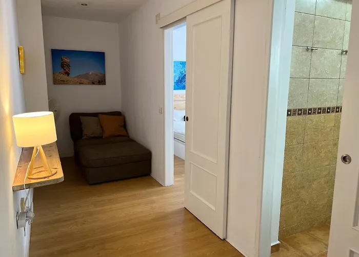 Hibiscus Bajamar (La Laguna)