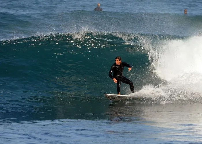 Appartement Hibiscus *