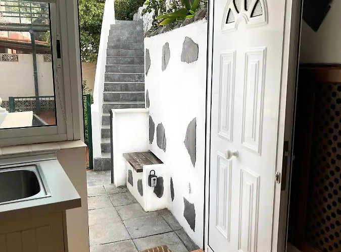 Hibiscus Bajamar (La Laguna)