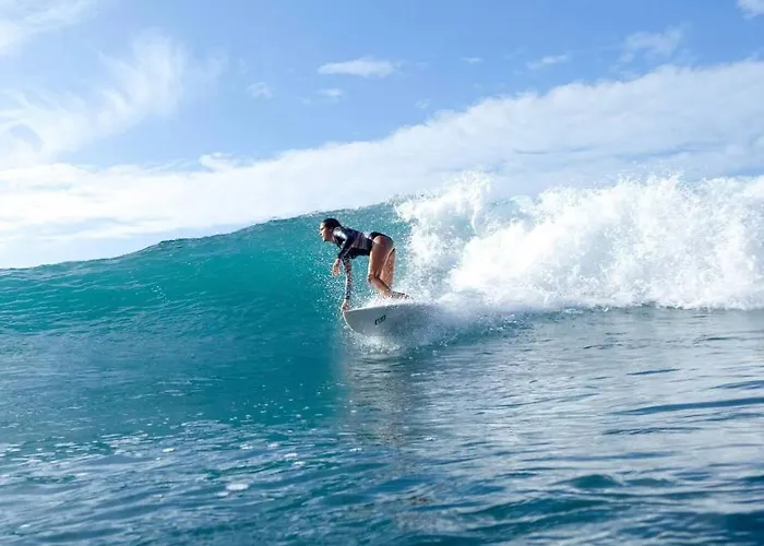 Appartement Hibiscus Bajamar (La Laguna)