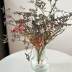 Hibiscus 아파트 *