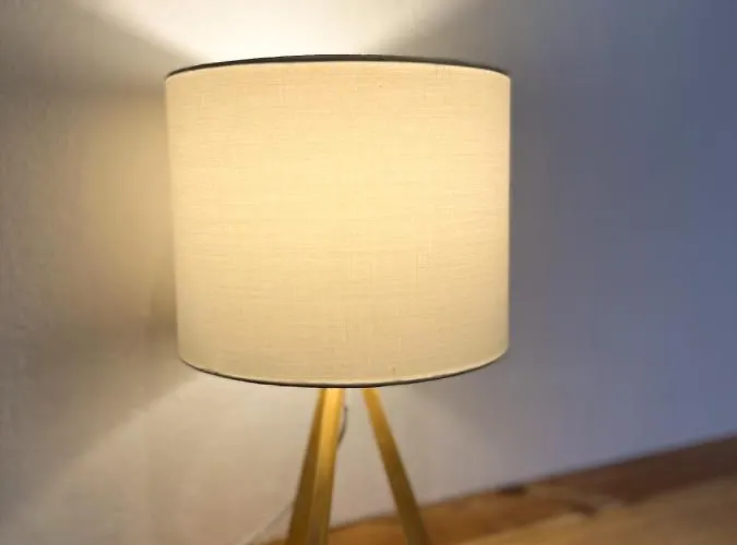 Hibiscus * Bajamar (La Laguna)